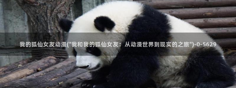 万有引力动漫:我的狐仙女友动漫(\